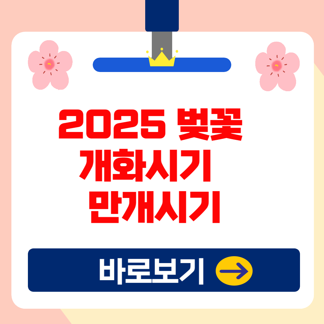 2025년 벚꽃 개화 시기 및 만개 시기 총정리(+벚꽃축제 일정)