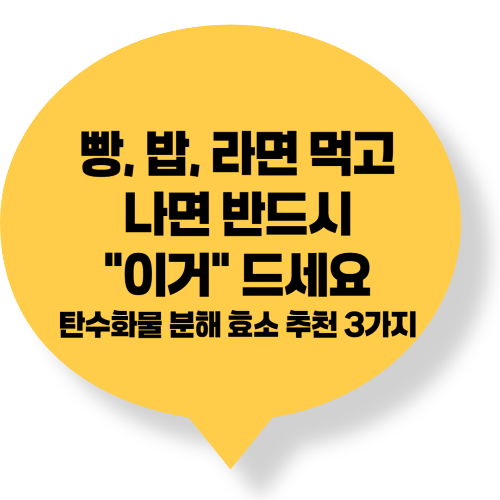 탄수화물 소화 분해 효소