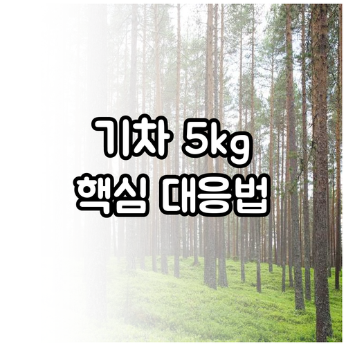 마추픽추 가는 기차 5kg 수하물 규..