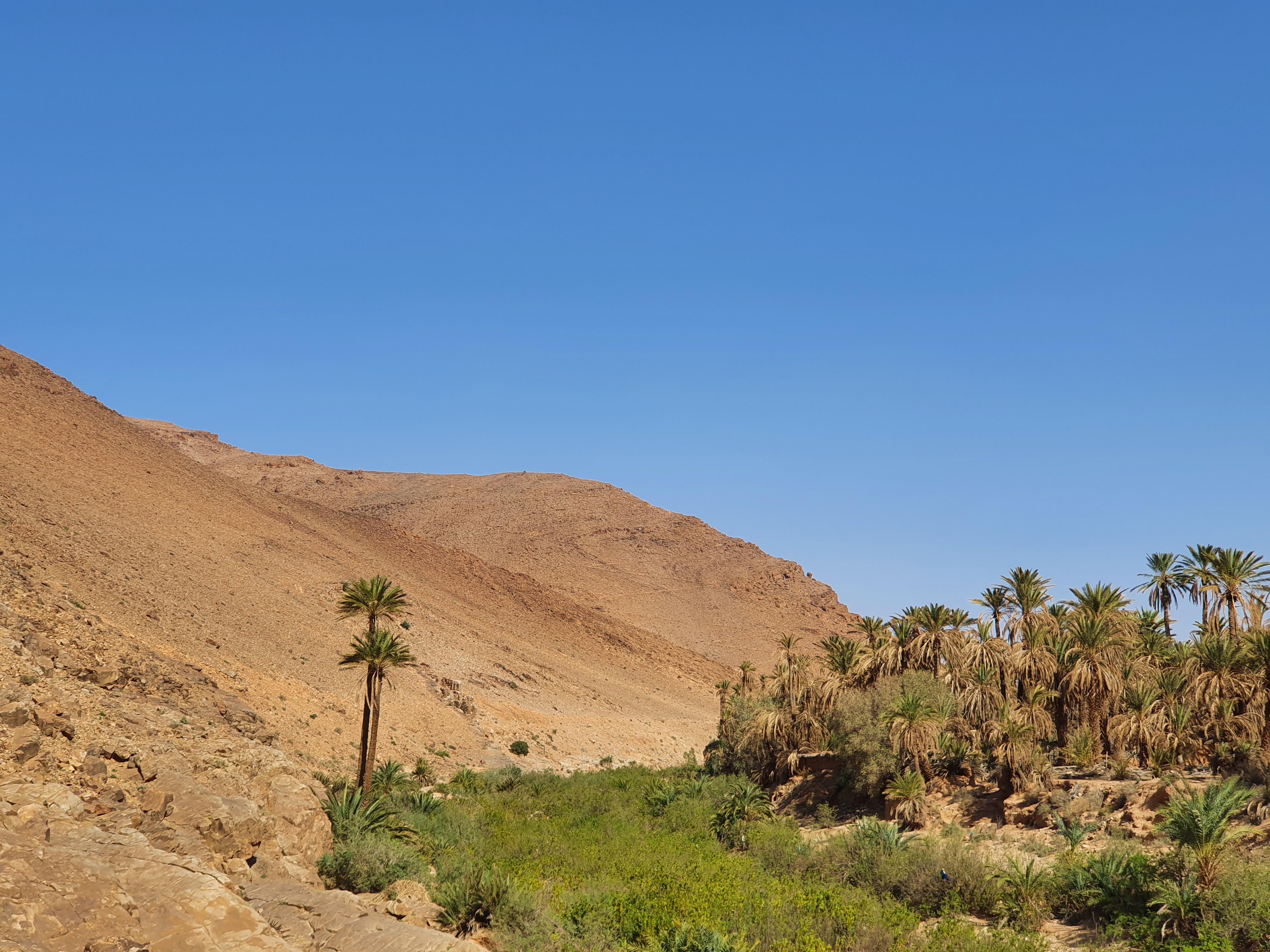 모로코 타그짓 오아시스