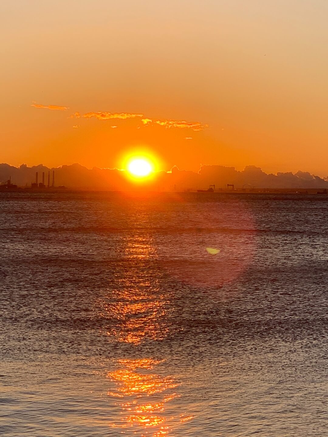 하얏트도쿄베이해돋이