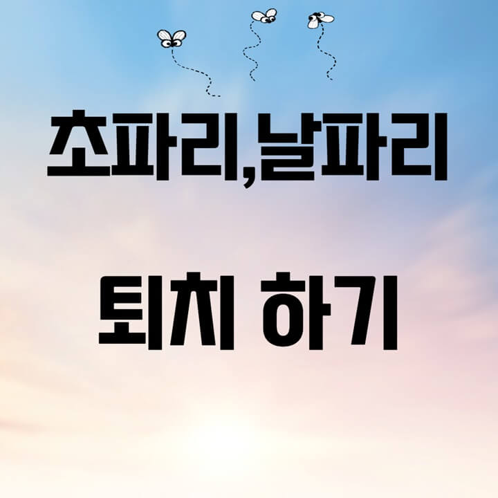초파리-날파리-퇴치하기
