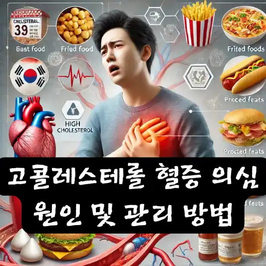 고콜레스테롤 혈증 의심 원인 잘못된 상식