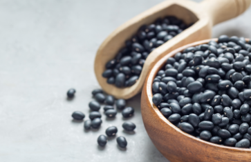 서리태 파종시기