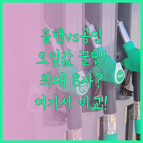 블루핸즈부터 공임나라까지 엔진오일 교..