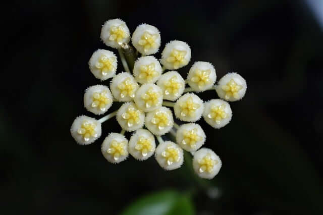 탁상용 가습기 | 사무실 가습기 추천 | 미니 가습기