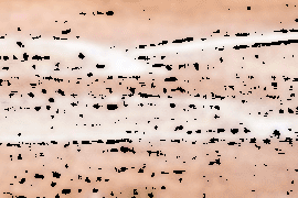 Tile 16