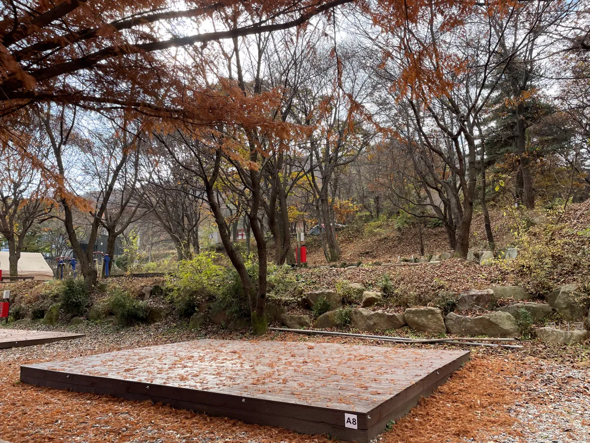 경기도-양주-새로-오픈한-봄이오는캠프-사이트별-사진-및-특징-정리(가족캠핑-2박후기)