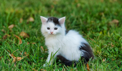 제품별 상세 분석 관련 사진