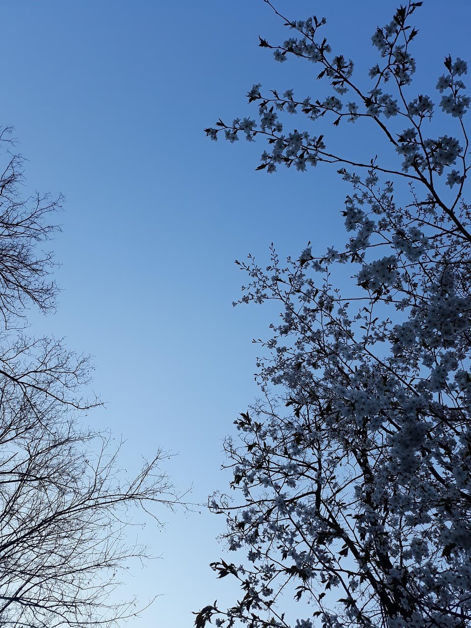 도시가 걷기 좋은 동네를 만들기 위해 실제로 바꿔야 하는 것들