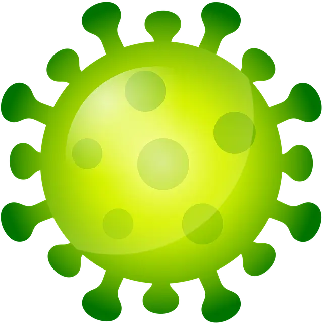 면역계에 영향을 주는 환경 독소와 화학물질— 현대 사회에서 면역 건강을 위협하는 보이지 않는 적들 —