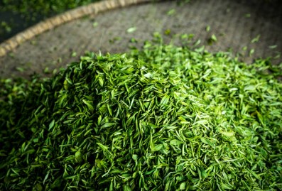 고혈압에 좋은 음식 10가지