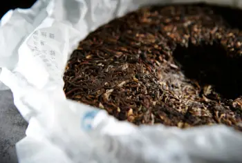 보이차 효능 및 영양성분