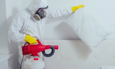 빈대 예방 및 퇴치