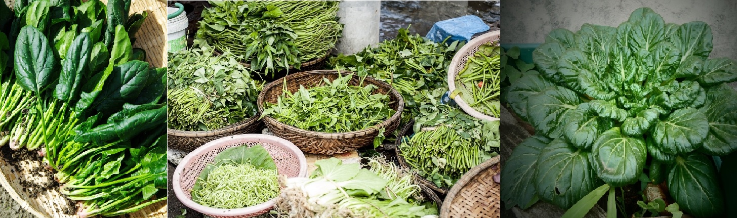 세계 10대 슈퍼푸드 시금치