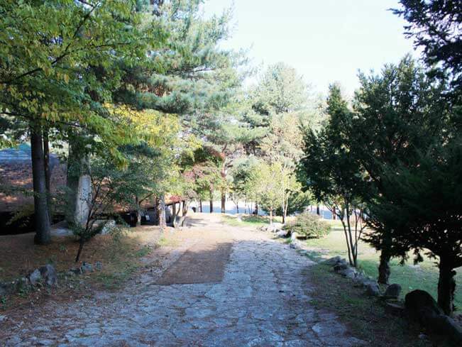 숲나들e 예약 방법부터 추천 캠핑장까지! 2025년 완전정리