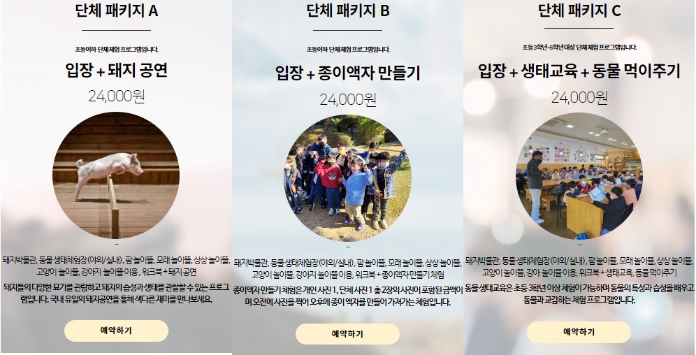 단체패키지