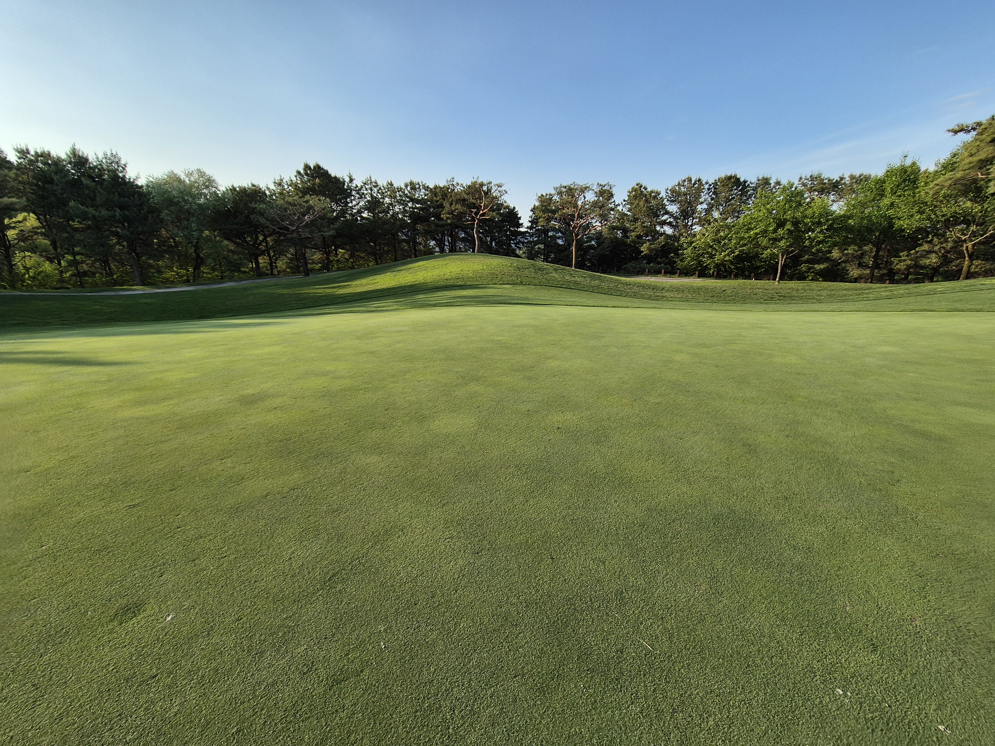 베어크리크cc 크리크코스