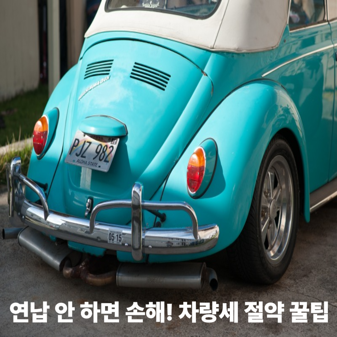 자동차 사진