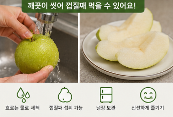 그린시스 배 정체는? 전참시 이영자 초록배 가격·구매처 총정리8