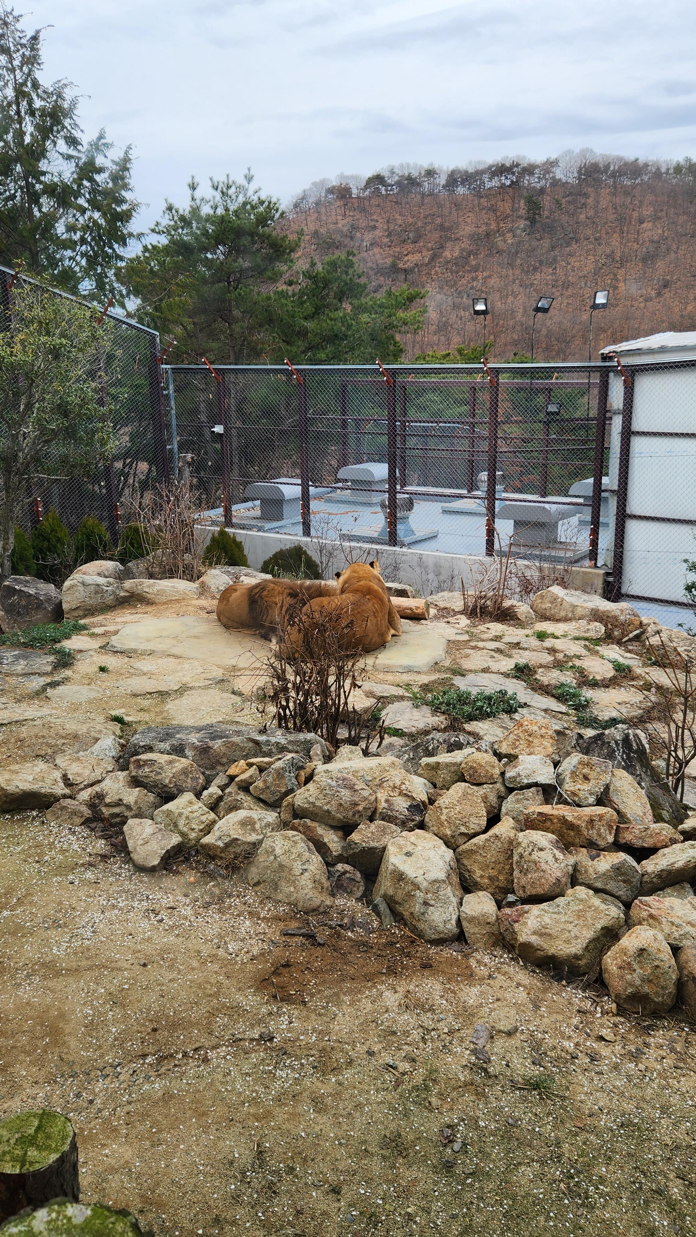 대구-네이처파크