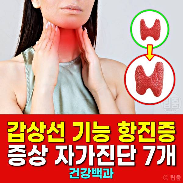 갑상선 기능 항진증 증상 갑상선기능항진증 자가진단