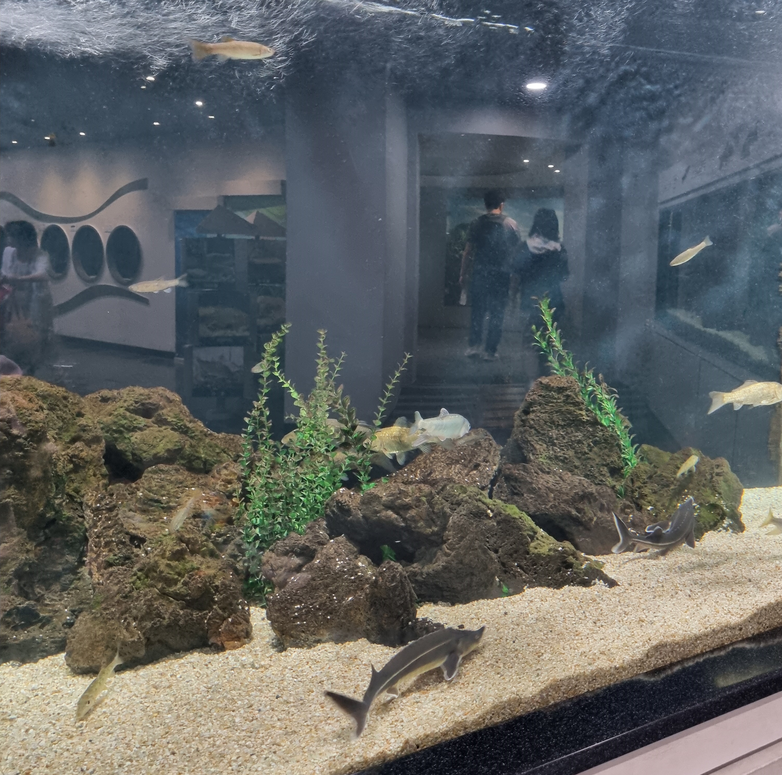 부천 가볼만한 곳 자연생태공원