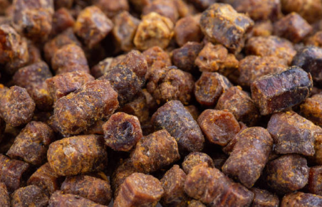 프로폴리스 효능, 부작용 총정리 (2024ver)