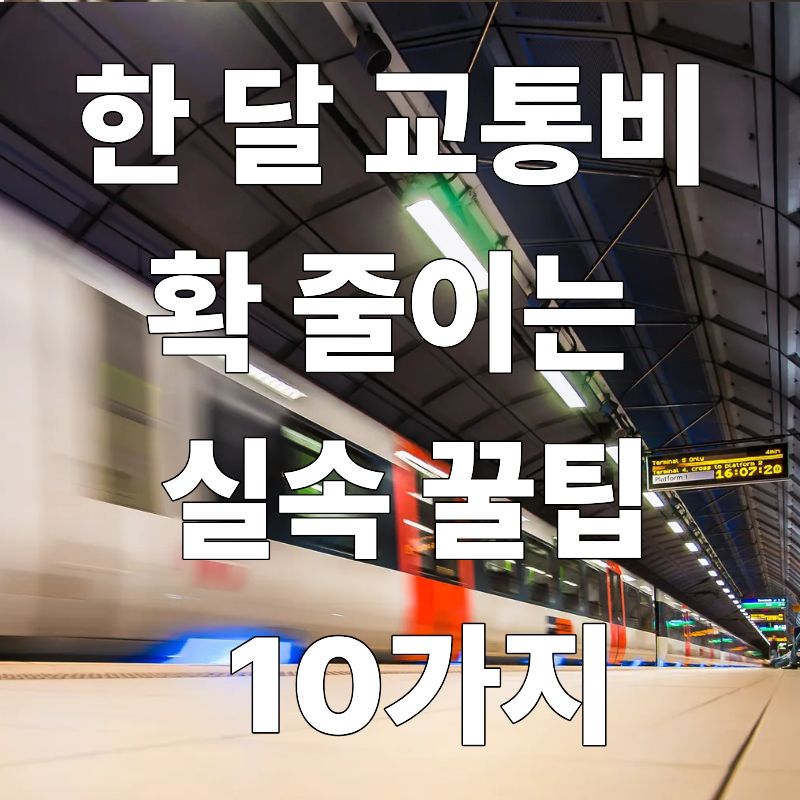 한 달 교통비 확 줄이는 실속 꿀팁 10가지