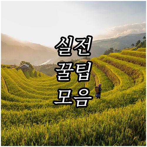 2025 충남 어린이집 차액보육료 신..