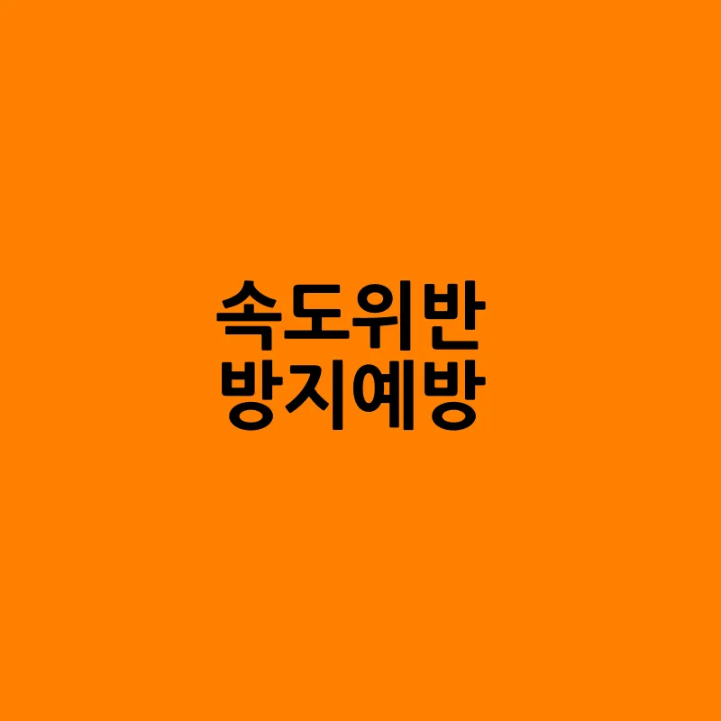 속도위반 실시간 조회