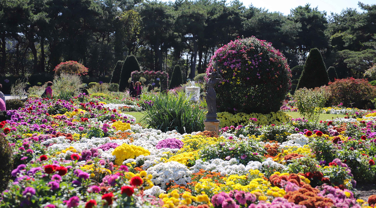 2024년 10월 가을 축제 일정