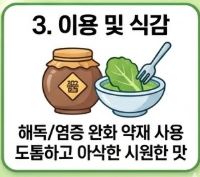 돌나물 효능