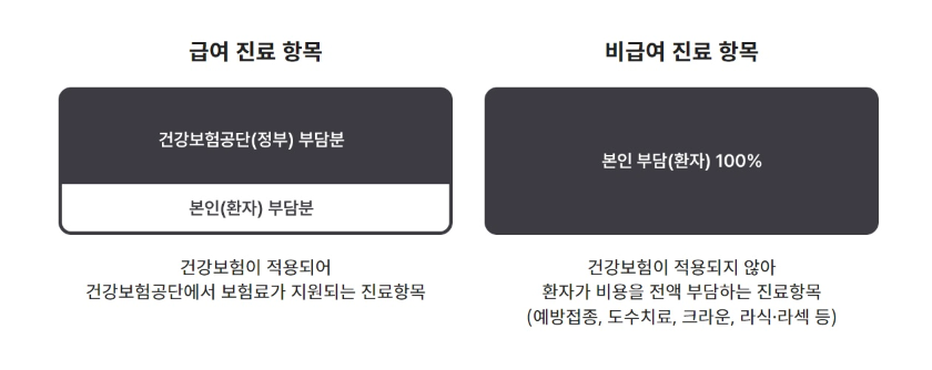 급여-비급여-진료항목-이미지
