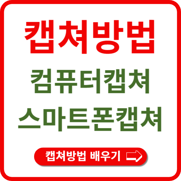 캡쳐 단축키