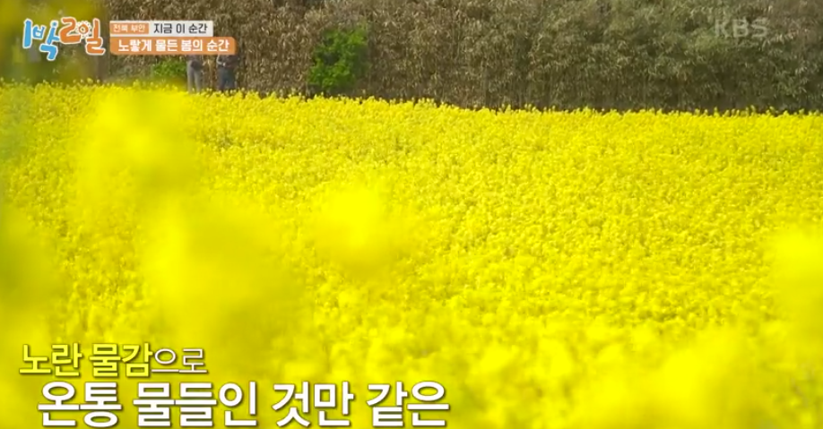 1박 2일