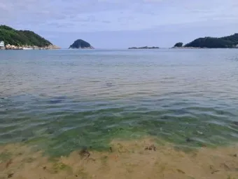 남해 가볼만한곳 베스트 10 추천 남해와 만남_23