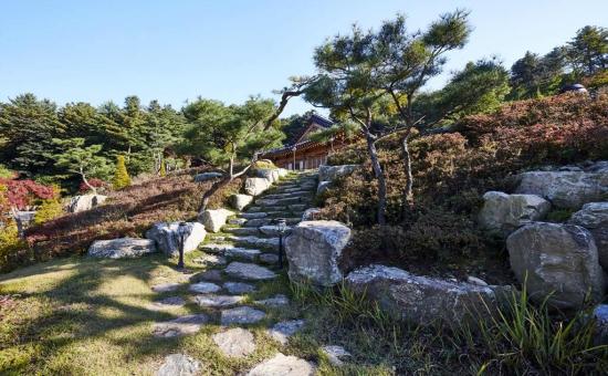 서울근교 갈만한곳 당일치기 여행 양평 - 두물머리, 구둔역, 두메향기, 들꽃수목원, 서후리숲, 세미원, 쉬자파크, 양떼목장, 용문산관광지, 중미산천문대, 오르다온