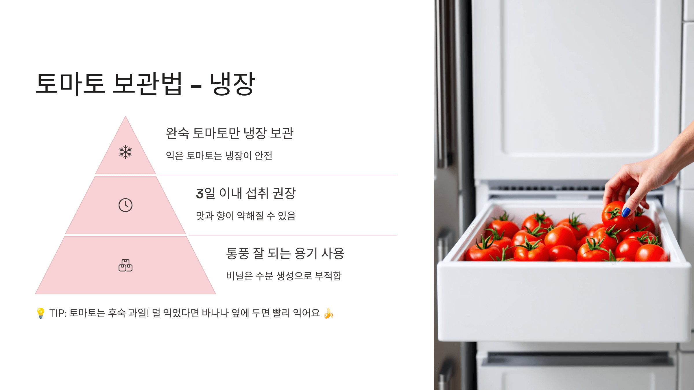 토마토 사진입니다.