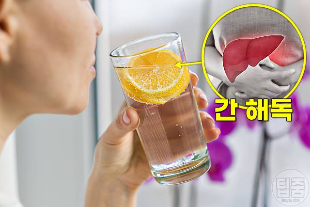 독소배출 음식 디톡스 식단 레몬물