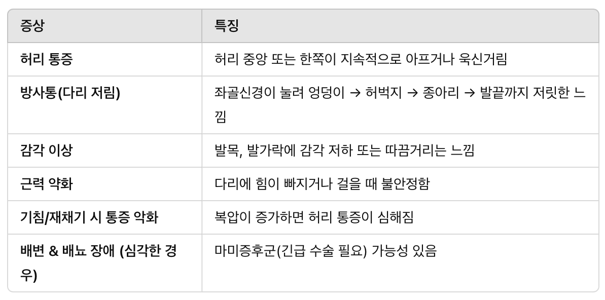 허리 디스크의 주요 증상