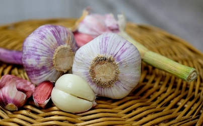 집안 냄새 없애는 방법