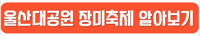 울산대공원_장미축제
