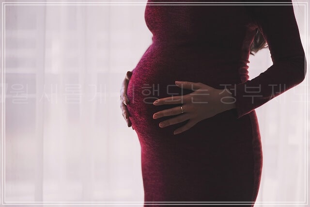 7월, 새롭게 시행되는 정부 제도 총정리