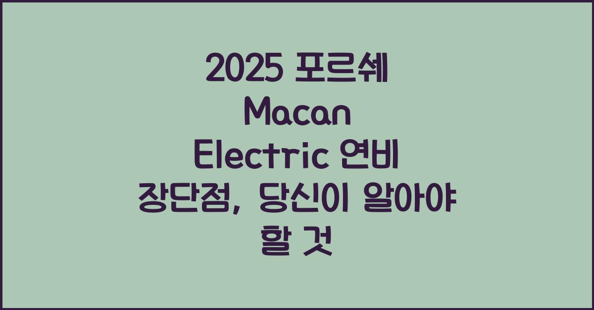 2025 포르쉐 Macan Electric 연비 장단점