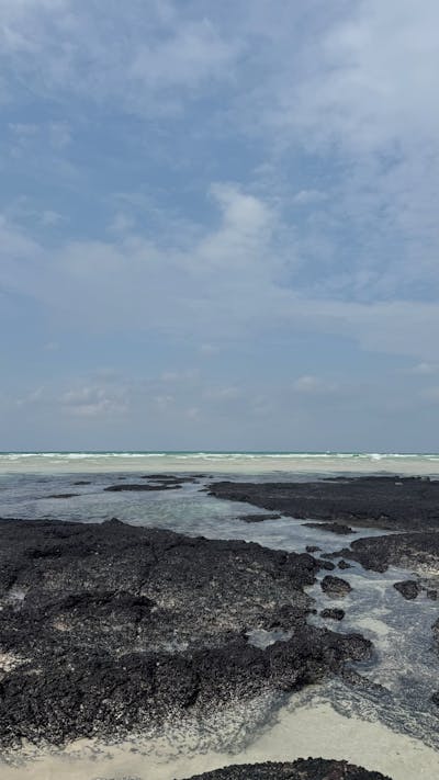 2025년 설날 기차표 예매 일정