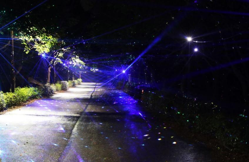 2025 독립기념관 단풍길 포토존 명소🌌 &amp;#124; 인생샷&middot;불빛축제 스팟 총정리