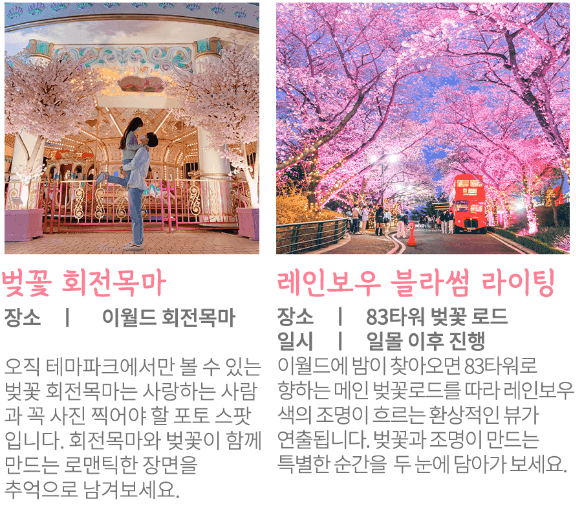 이월드 벚꽃명소