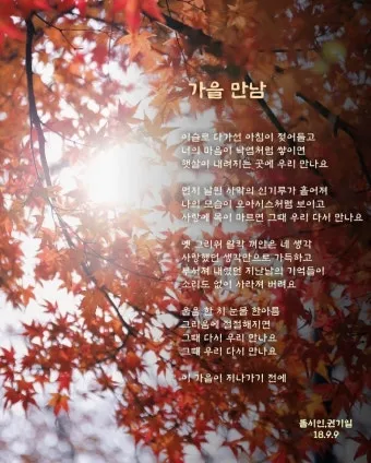 가을 시 모음 5편 추천 선별_16