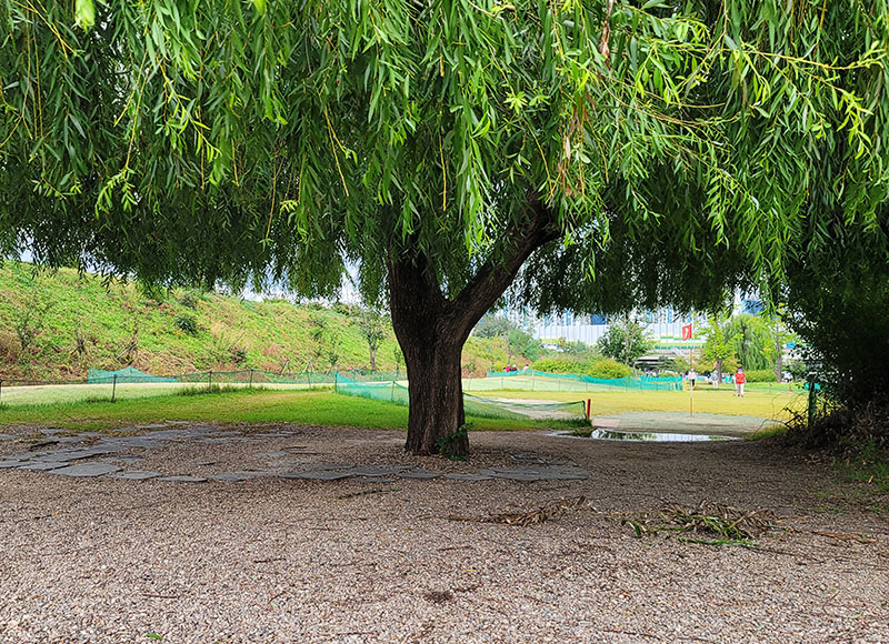화원진천천파크골프장 (진천파크골프장)